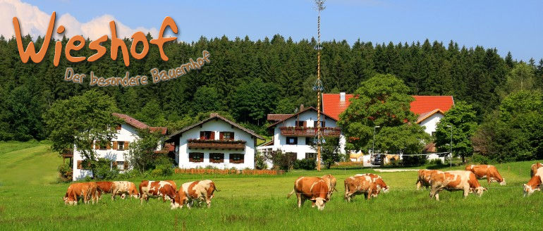 Wieshof der besondere Bauernhof im bayerischen Wald